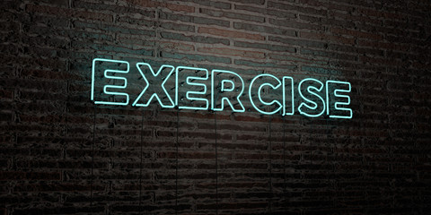 EXERCISE -Realistic Neon Sign on Brick Wall background - 3D rendered royalty free stock image. Can be used for online banner ads and direct mailers..