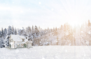 Naklejka premium winter, forest, house