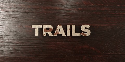 Trails - grungy wooden headline on Maple  - 3D rendered royalty free stock image. This image can be used for an online website banner ad or a print postcard.