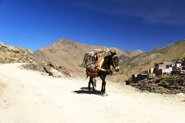 Traditional village in the High Atlas mountains, Morocco, Africa