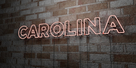 CAROLINA - Glowing Neon Sign on stonework wall - 3D rendered royalty free stock illustration.  Can be used for online banner ads and direct mailers..