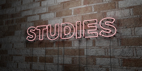 STUDIES - Glowing Neon Sign on stonework wall - 3D rendered royalty free stock illustration.  Can be used for online banner ads and direct mailers..