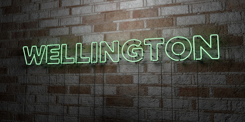 WELLINGTON - Glowing Neon Sign on stonework wall - 3D rendered royalty free stock illustration.  Can be used for online banner ads and direct mailers..