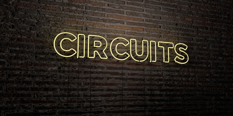 CIRCUITS -Realistic Neon Sign on Brick Wall background - 3D rendered royalty free stock image. Can be used for online banner ads and direct mailers..