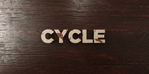 Cycle - grungy wooden headline on Maple  - 3D rendered royalty free stock image. This image can be used for an online website banner ad or a print postcard.