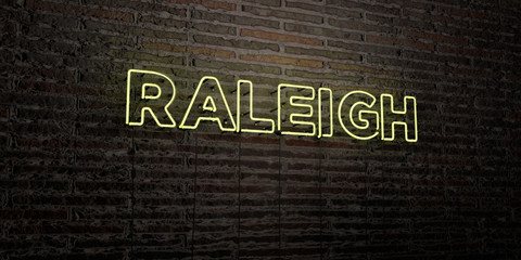 RALEIGH -Realistic Neon Sign on Brick Wall background - 3D rendered royalty free stock image. Can be used for online banner ads and direct mailers..