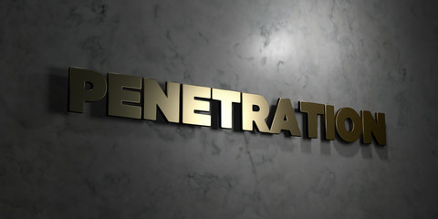 Penetration - Gold text on black background - 3D rendered royalty free stock picture. This image can be used for an online website banner ad or a print postcard.