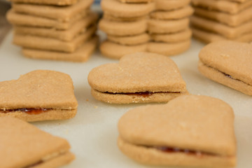 Weihnachtsplätzchen