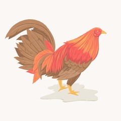 Rooster illustration. Element for New Year's design.