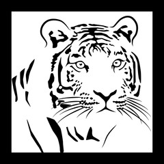 muzzle of a tiger on a white background in a frame