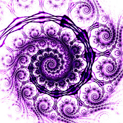 Abstract fantasy black and purple swirly ornament on white backg