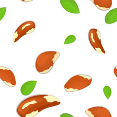 Vector seamless pattern brazilnut. Illustration of peeled brazilian nuts and in shell isolated on white background it can be used as packaging design element printing brochures healthy and vegan diet