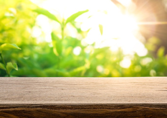 Empty of wood table top on blur of fresh green abstract from garden