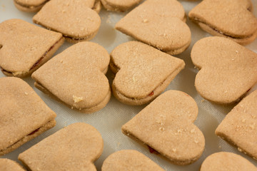 Weihnachtsplätzchen
