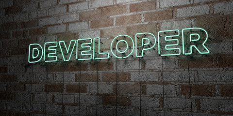 DEVELOPER - Glowing Neon Sign on stonework wall - 3D rendered royalty free stock illustration.  Can be used for online banner ads and direct mailers..