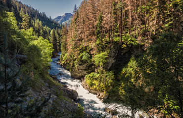 In the gorge of the river Gonachkhir
Photos shot in the Caucasus Mountains, Dombay
