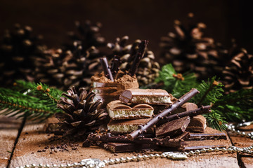 Different chocolate and cocoa powder, tree branches and pine con