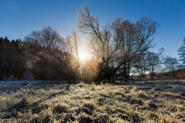 Niederung im Harz, Bode