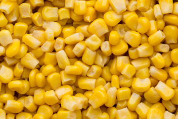 Bulk of yellow corn grains texture.