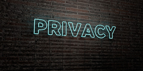 PRIVACY -Realistic Neon Sign on Brick Wall background - 3D rendered royalty free stock image. Can be used for online banner ads and direct mailers..