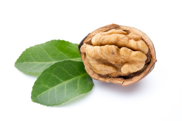 Walnut and walnut kernel isolated on the white background.