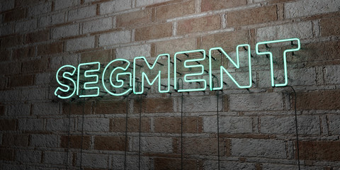 SEGMENT - Glowing Neon Sign on stonework wall - 3D rendered royalty free stock illustration.  Can be used for online banner ads and direct mailers..