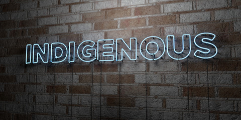 INDIGENOUS - Glowing Neon Sign on stonework wall - 3D rendered royalty free stock illustration.  Can be used for online banner ads and direct mailers..