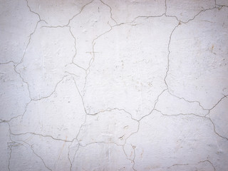 Grunge White Background Cement Old Texture Wall