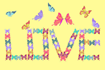 card  lovely multicolored butterflies fly  illustration