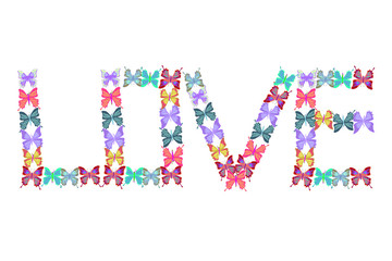 card  lovely multicolored butterflies fly  illustration