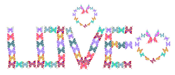 card  lovely multicolored butterflies fly illustration