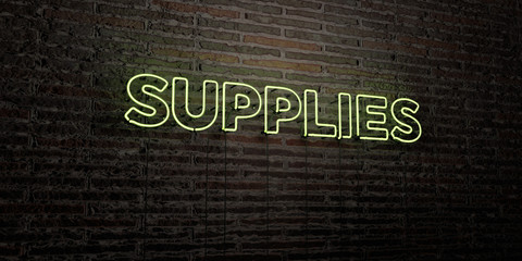 SUPPLIES -Realistic Neon Sign on Brick Wall background - 3D rendered royalty free stock image. Can be used for online banner ads and direct mailers..