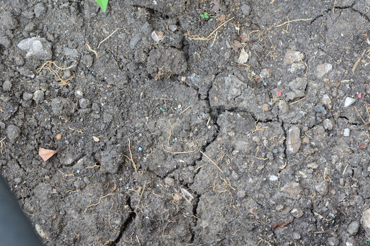 crack dried soil
