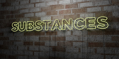 SUBSTANCES - Glowing Neon Sign on stonework wall - 3D rendered royalty free stock illustration.  Can be used for online banner ads and direct mailers..