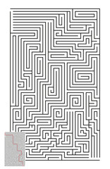 Large Vector Vertical Maze with Answer 7