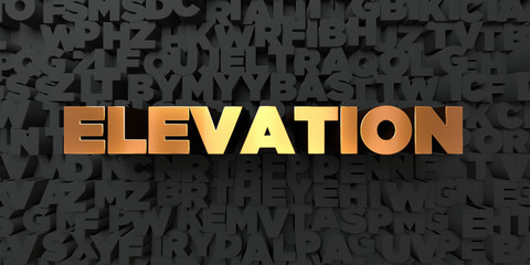 Elevation - Gold text on black background - 3D rendered royalty free stock picture. This image can be used for an online website banner ad or a print postcard. © Chris Titze Imaging