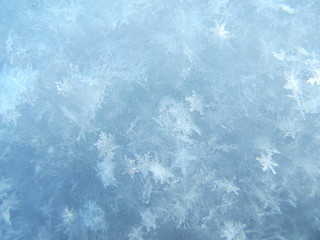 Close image of snow, a lot of real snowflakes