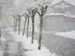 snowy street city