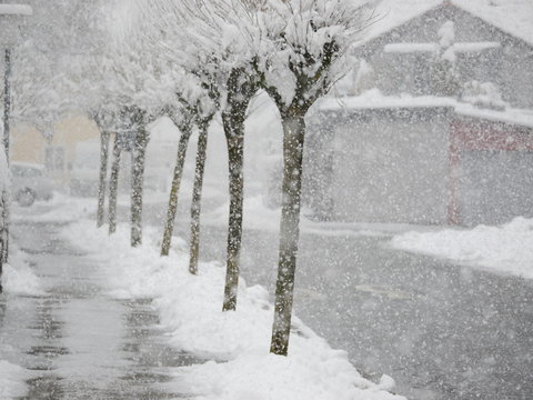 Snowy Street City