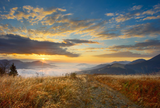 Fototapeta grass and sunrise in Carpathians