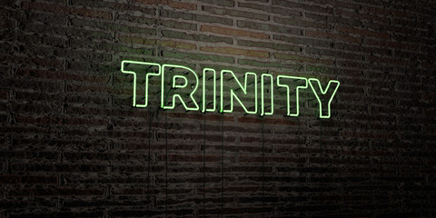 TRINITY -Realistic Neon Sign on Brick Wall background - 3D rendered royalty free stock image. Can be used for online banner ads and direct mailers..