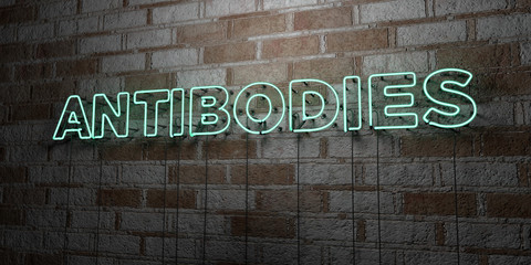 ANTIBODIES - Glowing Neon Sign on stonework wall - 3D rendered royalty free stock illustration.  Can be used for online banner ads and direct mailers..