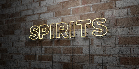 SPIRITS - Glowing Neon Sign on stonework wall - 3D rendered royalty free stock illustration.  Can be used for online banner ads and direct mailers..