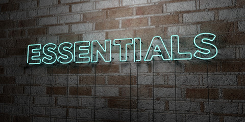 ESSENTIALS - Glowing Neon Sign on stonework wall - 3D rendered royalty free stock illustration.  Can be used for online banner ads and direct mailers..