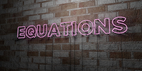 EQUATIONS - Glowing Neon Sign on stonework wall - 3D rendered royalty free stock illustration.  Can be used for online banner ads and direct mailers..
