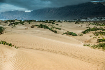 golden sand of Lanzarote coastal dune