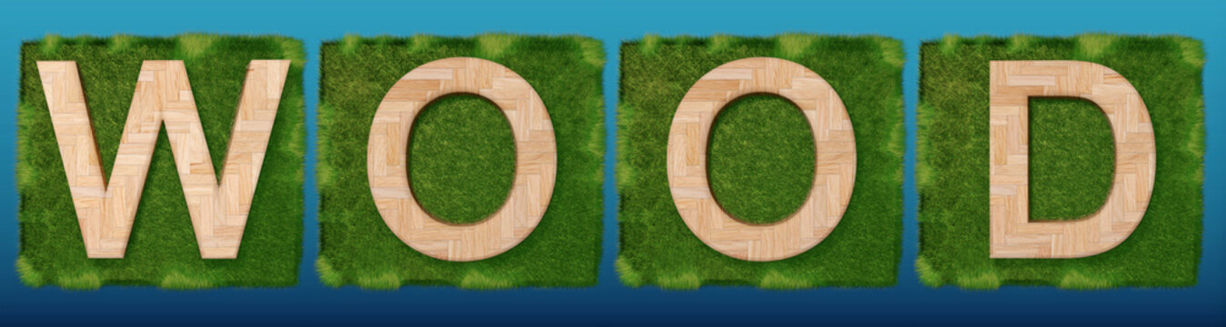 3D decorative wooden word wood on green Grass