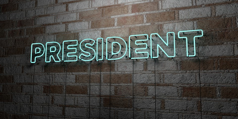 PRESIDENT - Glowing Neon Sign on stonework wall - 3D rendered royalty free stock illustration.  Can be used for online banner ads and direct mailers..