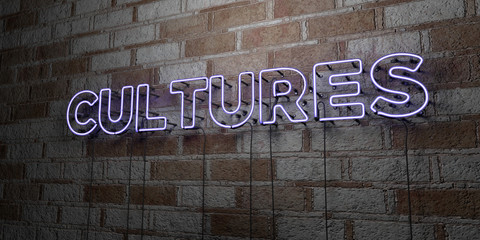 CULTURES - Glowing Neon Sign on stonework wall - 3D rendered royalty free stock illustration.  Can be used for online banner ads and direct mailers..