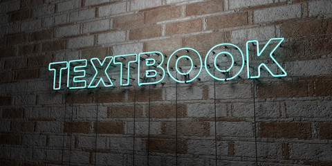 Naklejka premium TEXTBOOK - Glowing Neon Sign on stonework wall - 3D rendered royalty free stock illustration. Can be used for online banner ads and direct mailers..